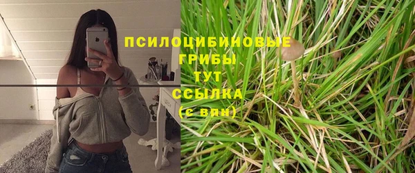 ПСИЛОЦИБИНОВЫЕ ГРИБЫ Абинск