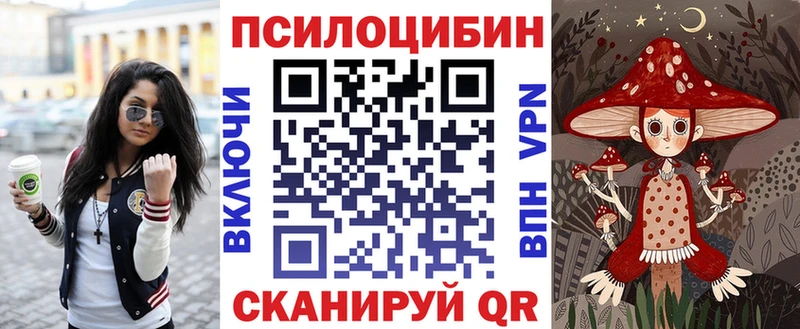 Псилоцибиновые грибы Psilocybine cubensis  Железноводск 