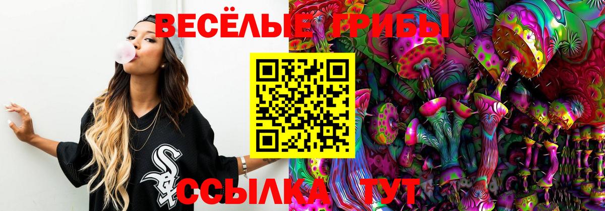 Галлюциногенные грибы прущие грибы Железноводск