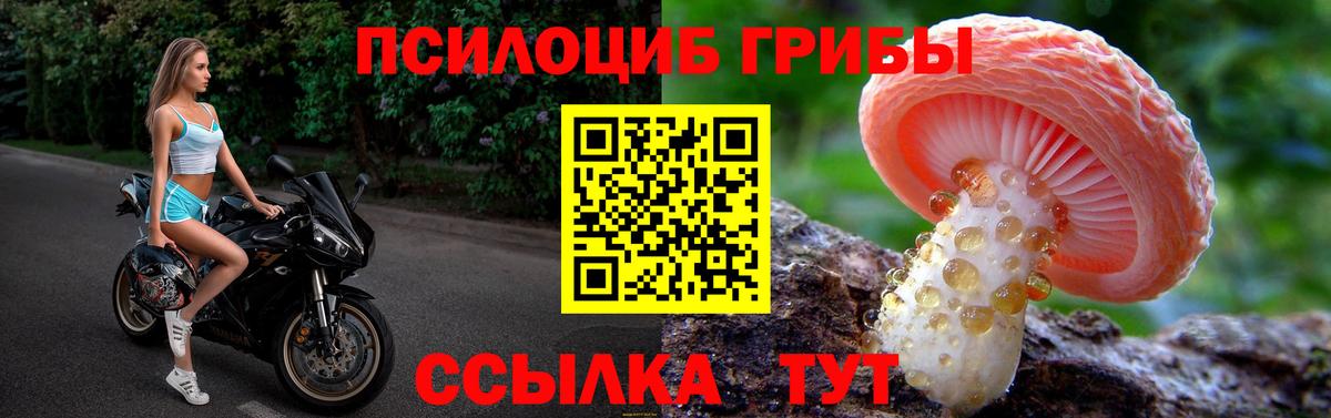 Железноводск  купить наркотик  Вход с VPN  Галлюциногенные грибы Magic Shrooms  Псилоцибиновые грибы MAGIC MUSHROOMS 