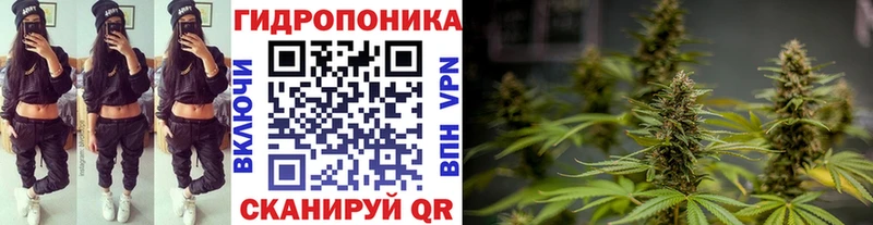 Бошки Шишки тримм  Железноводск 